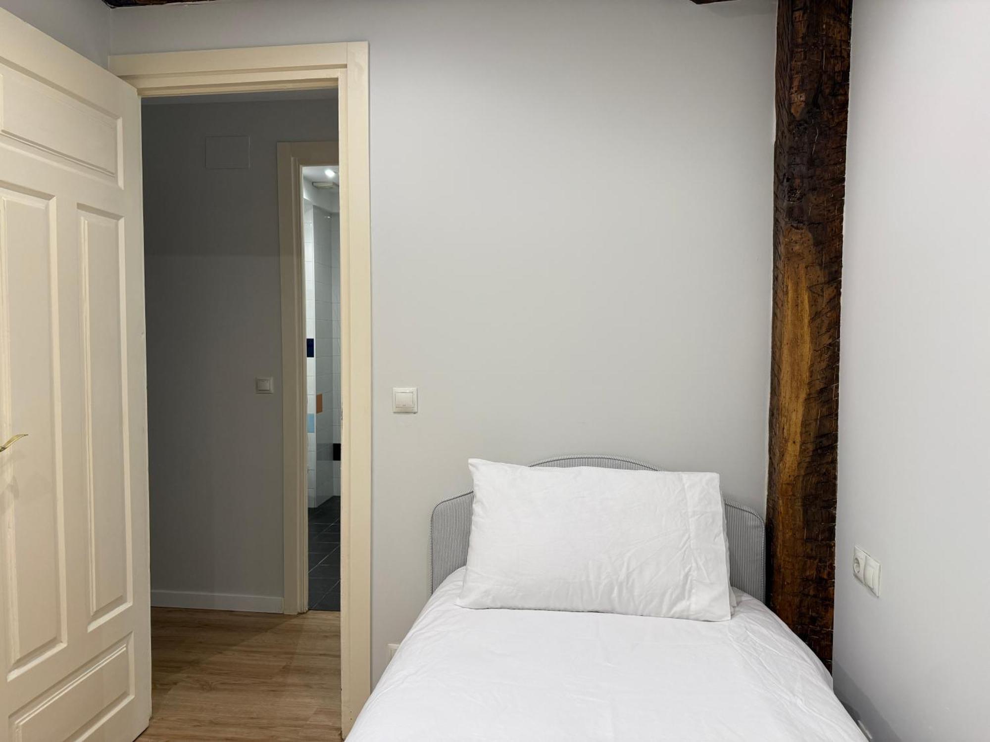 Lufia Flats 3 * Bilbao